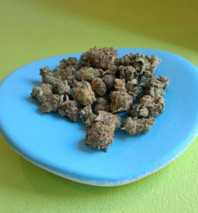 Amnésia small bud (indoor)