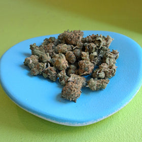 Blue Berry muffin smallbud