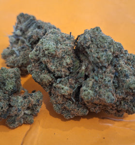 Amnesia US CBC