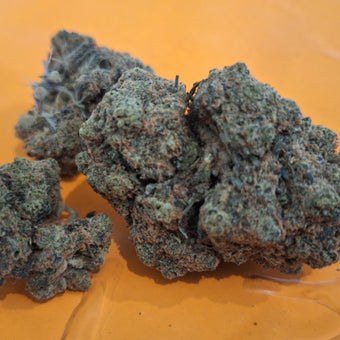 Amnesia US CBC