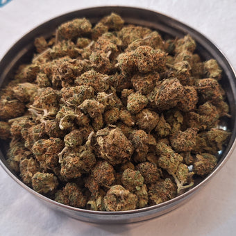 MOBIDYCK small bud cbd indoor