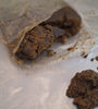Bubble CBD P