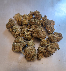 Guava CBC
