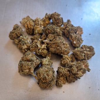 Guava CBC