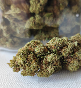 Kandy Kusch GREEN HOUSE